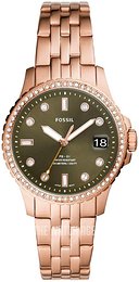 JR1412 Fossil | TheWatchAgency™