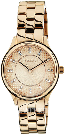 BQ1571 Fossil | TheWatchAgency™