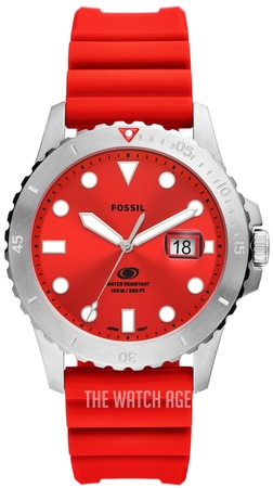 fossil-FS5997.jpg