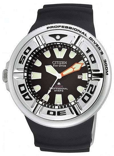 citizen diver