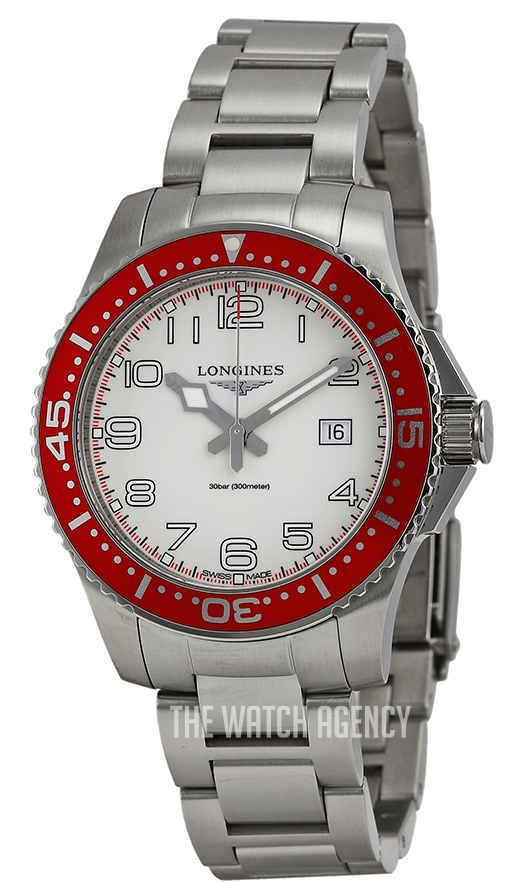 HydroConquest Silver colored Steel 39 mm ref. L3.688.4.19.6