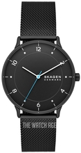 Skagen Riis